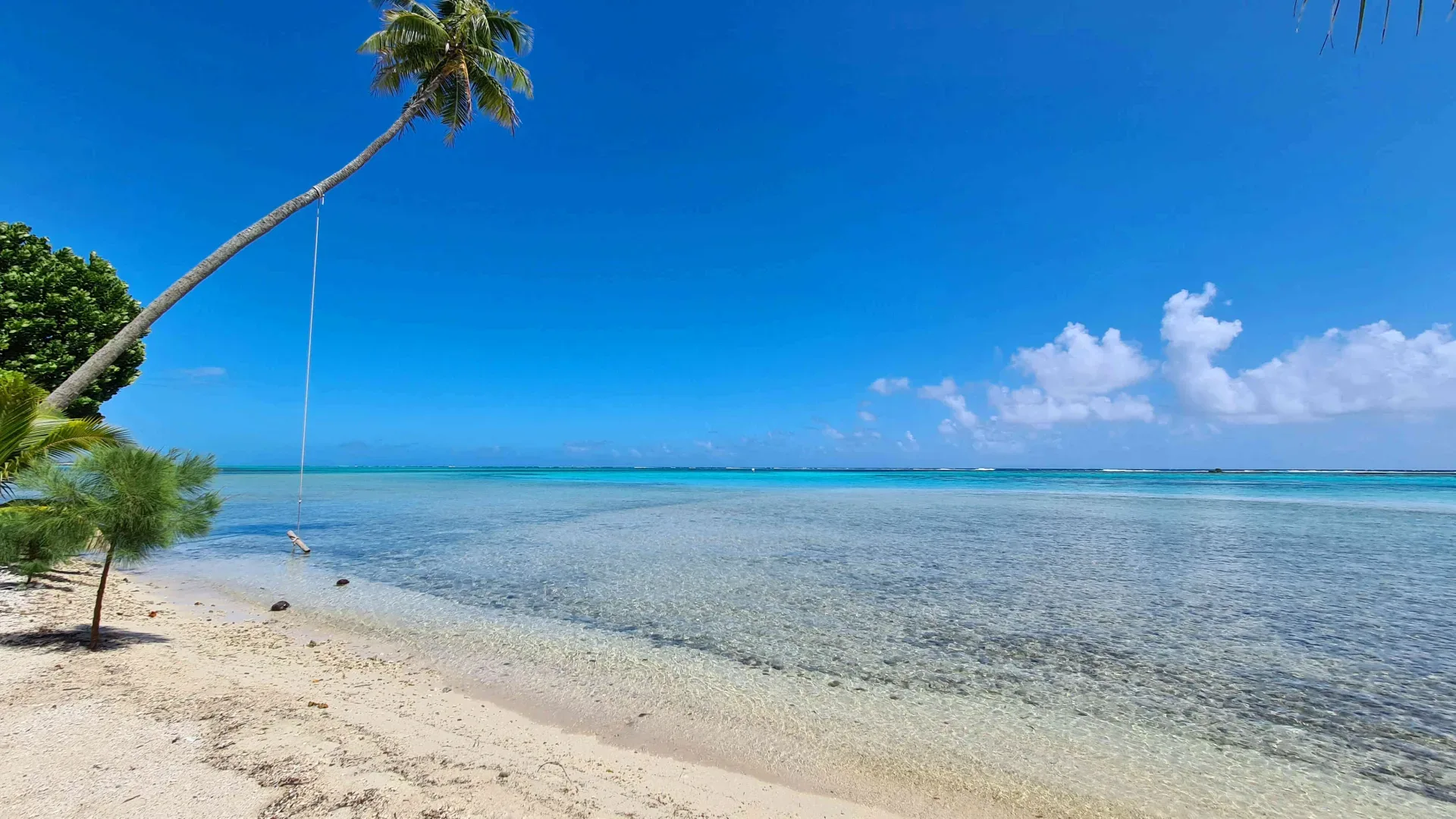 Tātahi Tours – Paddle rental