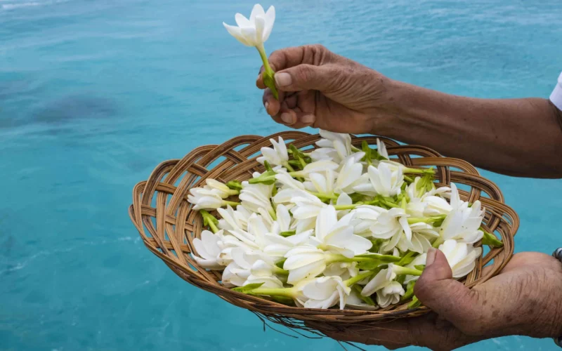 Corbeille de Tiare Tahiti © Holger Leue-