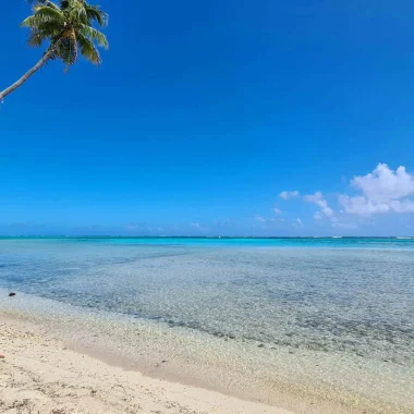 Tahiti Yoga Festival