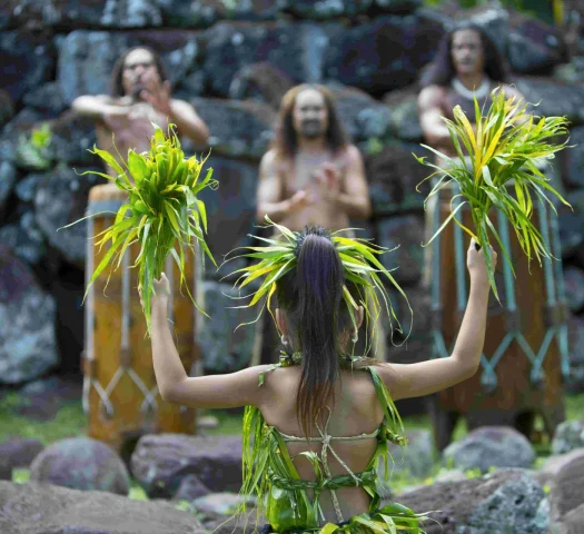 Petite fille de dos lors d'un spectacle de danse © Tahiti Tourisme