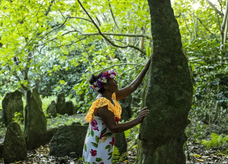 Naturaleza salvaje y virgen